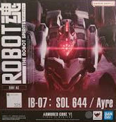 The Robot Spirit : IB-07 SOL 644 / Ayre